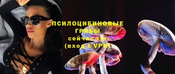 ПСИЛОЦИБИНОВЫЕ ГРИБЫ Медногорск