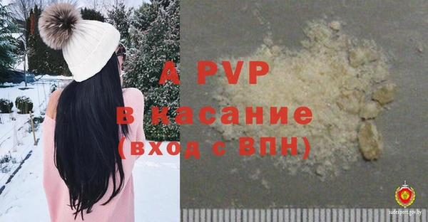 ПСИЛОЦИБИНОВЫЕ ГРИБЫ Медногорск