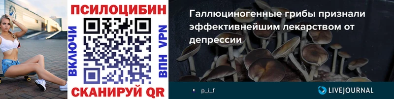 площадка наркотические препараты  Александров  Псилоцибиновые грибы MAGIC MUSHROOMS 